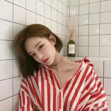 庄妃轶事